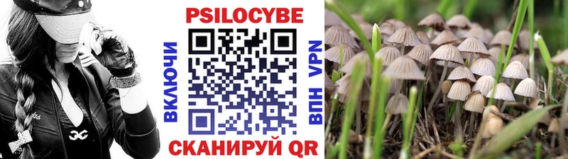 купить закладку  Канаш  OMG зеркало  Галлюциногенные грибы ЛСД 