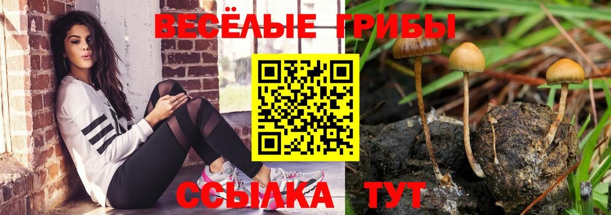 Галлюциногенные грибы Magic Shrooms  Канаш  Галлюциногенные грибы мицелий 