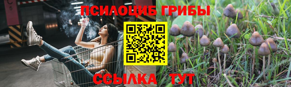 Галлюциногенные грибы Cubensis  Вход с VPN  Галлюциногенные грибы прущие грибы  Канаш 